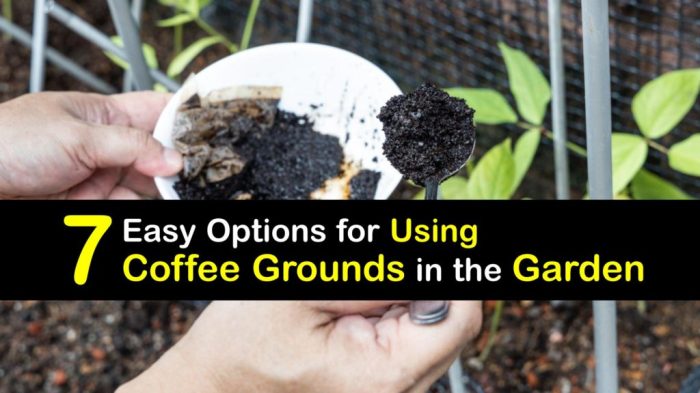 Are coffee grounds good for grass