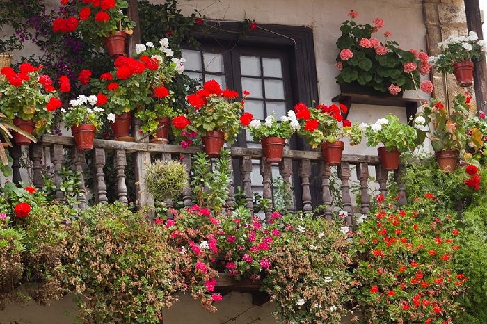 How to garden on a west facing balcony