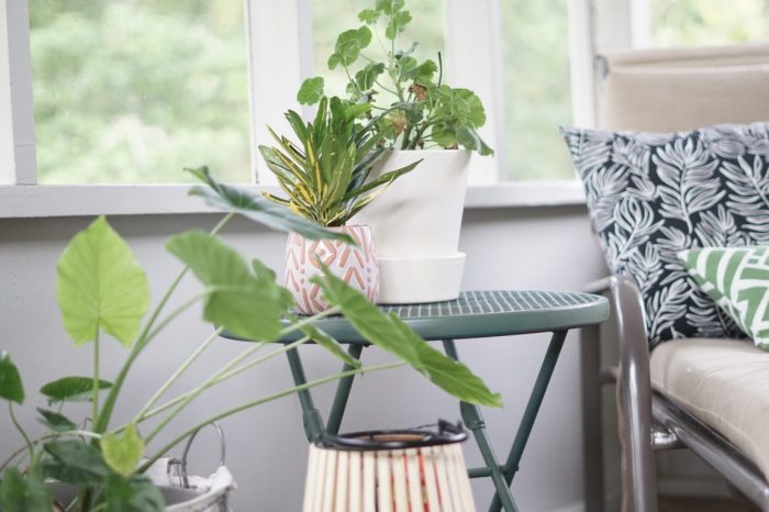 Plants to make a porch smell nice