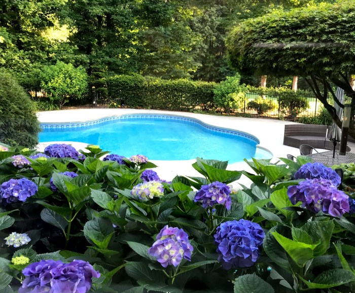 Consider varieties designing landscaped bluehaven