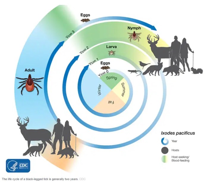 Uctv tick prevention borne advancing understanding agriculture