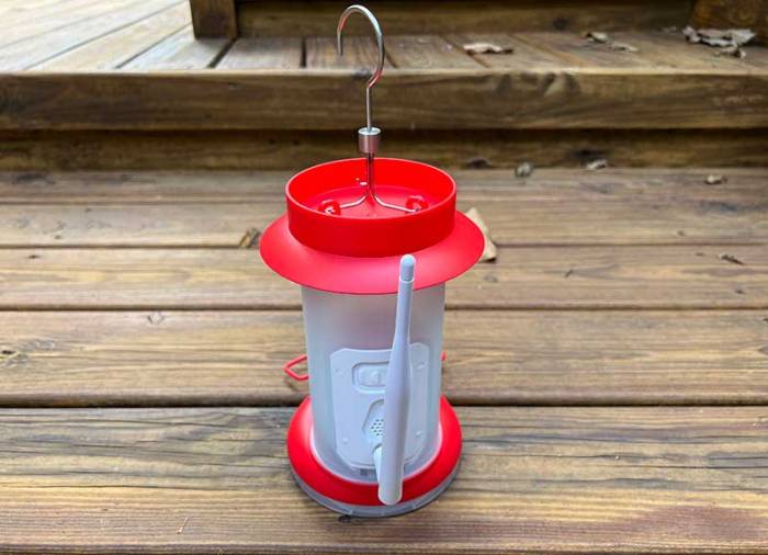 Hummingbird feeder cameras