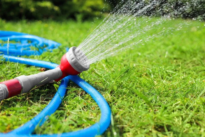 How to maintain a garden hose