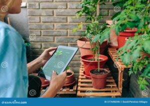 AI in Gardening: Revolutionizing Green Spaces